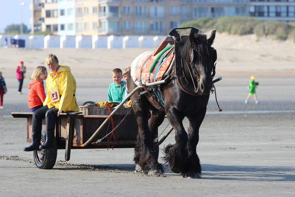 Oostduinkerke